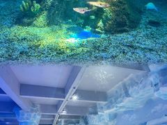 -泉城欧乐堡海洋极地世界