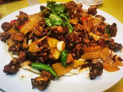 -童婆婆面馆(薛庄小区店)