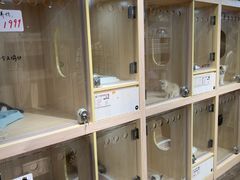 -爪爪喵星球·猫舍(卓悦中心店)