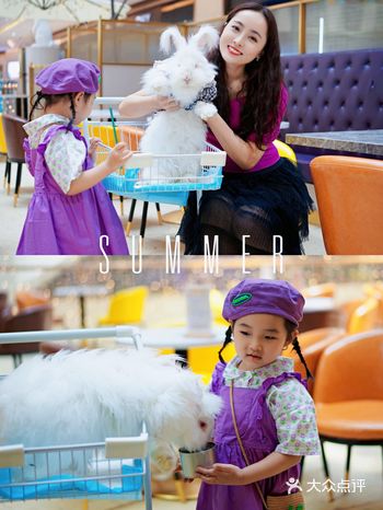 重庆遛娃好去处|带着宝宝来看安哥拉巨兔