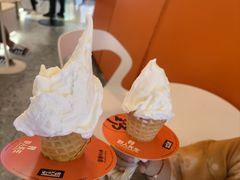-野人先生现做冰淇淋(北京王府井东方新天地店)