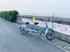 -上海滨江森林公园