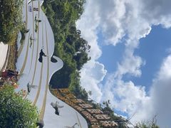 -西双版纳原始森林公园