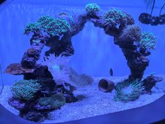 -上海海昌海洋公园