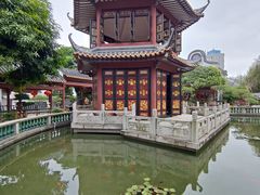 -碧江金楼