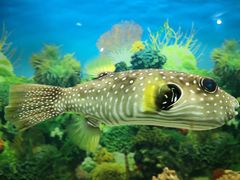 -泉州海丝野生动物世界