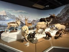 -陕西自然博物馆