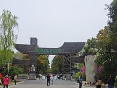 -溱湖国家湿地公园