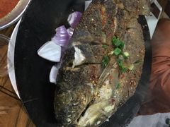 虎卫烤肉-虎卫烤肉(东关南街店)