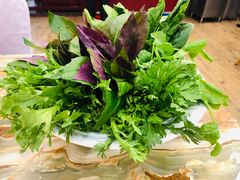 -椿记烧鹅(北门店)