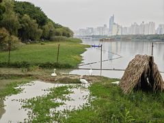 -南宁南湖公园