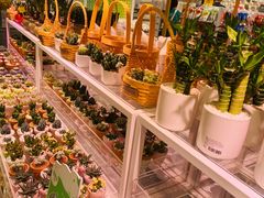 -KKV(深圳宏发大仟里店)