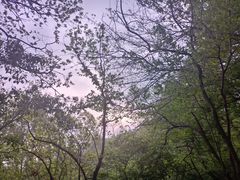 -紫金山山顶公园
