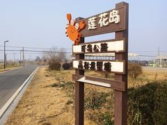 -莲花岛景区