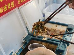 -金牌罗记肠旺面(蔡家街店)