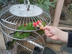 -南宫五洲植物乐园