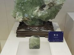 -安徽省地质博物馆