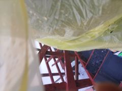 -尼亚加拉瀑布州立公园