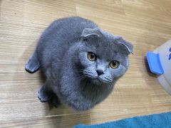 -哆趣宠物医院·眼科·内镜·急重症转诊中心(上海店)