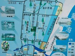 -日照海滨国家森林公园