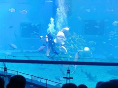 -日照世帆赛基地