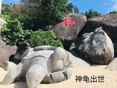 -海南分界洲岛旅游区