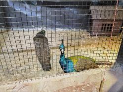 -酷嗒动物文化乐园(cutezoo西溪乐天城店)