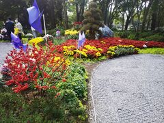 -汇龙潭