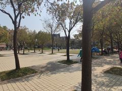 -新江湾城公园