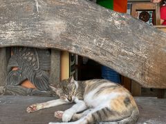 -Jonah's Fruit Shake & Snack Bar