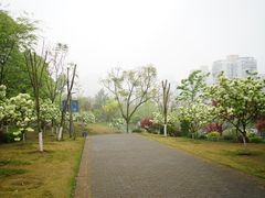 -重庆平顶山公园