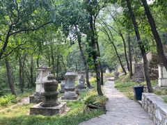 -北京上方山国家森林公园