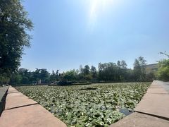 -四川大学(望江校区)