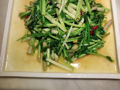 -滇铺子·云南特色菜·鲜花野菜季(曲靖万达店)