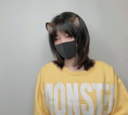点击看大图 -藤野造型