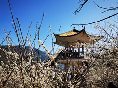 -广州市流溪河国家森林公园
