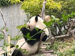 -南宁市动物园