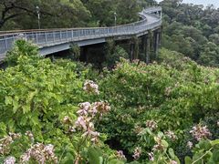 -金鸡山公园