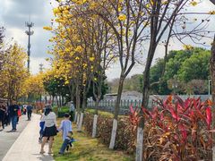 -长洲岛都市农业公园