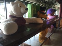 -济州岛泰迪熊博物馆