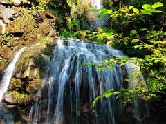 -藏龙百瀑风景区