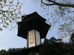 -上海佘山国家森林公园天马山园