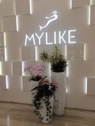 -深圳美莱医疗美容医院