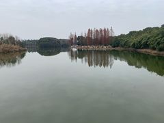 -艾溪湖湿地公园
