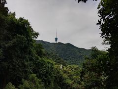 -梧桐山风景名胜区