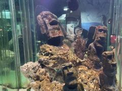 -太平洋海底世界