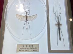 -上海昆虫博物馆