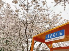 -漫花庄园