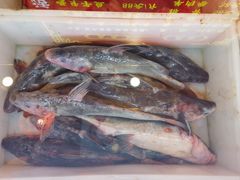 -江湖水乡铁锅炖魚(周庄嘉园店)