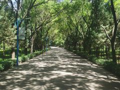 景点-森林公园(尖草坪区)